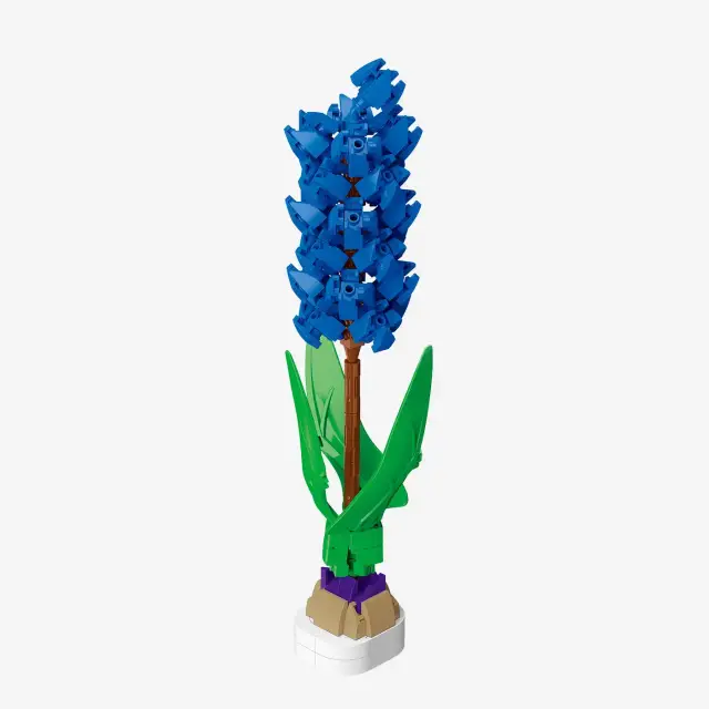 BlueBrixx® Blue Hyacinth