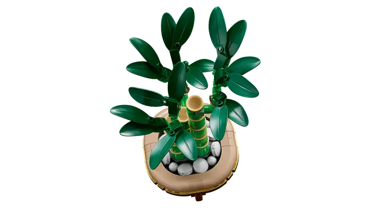 Glcks-Bambus 10344 | LEGO Botanical Collection | reBricker