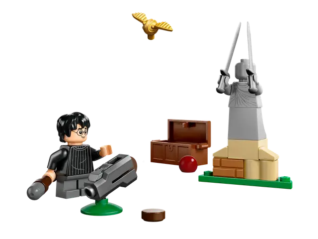 Lego® Quidditch™ Training